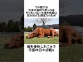 グラスワンダーエピソード 競馬 競馬予想 ウマ娘 shorts