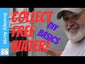 DIY Rainwater Harvesting and Rain Barrel Basics