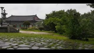 heavy rain Korea temple thunder relaxing nature deep sleep white noise asmr delta wave