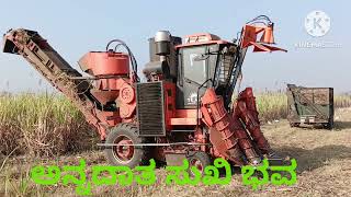 sugar cane Horvesting #ಕಬ್ಬು ಕಟಾವ್ ಮಾಡುವದು...