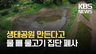 생태공원 만든다고 저수지 물 빼 물고기 집단 폐사 / KBS 2021.07.06.