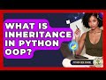 What Is Inheritance In Python OOP? - Python Code School