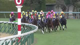 2018 Hanshin Juvenile Fillies (G1)