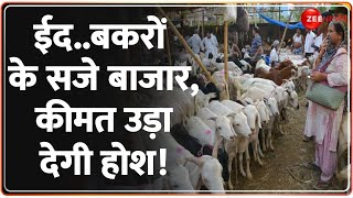 Deshhit: ईद..बकरों के सजे बाजार, कीमत उड़ा देगी होश! | Eid 2024 | Bakrid | Sacrificial Goat Demad