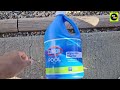 clorox® pool u0026spa™ swimming pool algaecide and clarifier trendroid reviews