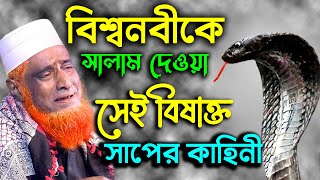 বিশ্বনবীকে সালাম দেয়া সেই সাপের কাহিনী মাওঃ বজলুর রশিদ মিঞা !! Bozlur Roshid New Bangla Waz 2022
