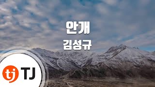 [TJ노래방] 안개 - 김성규 / TJ Karaoke