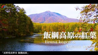 33sec・4K）飯綱高原の紅葉〜長野県長野市〜