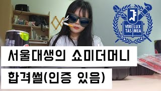 서울대생의 쇼미더머니 합격썰