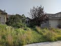 An Introduction on Converting Lawn to Prairie Gardens