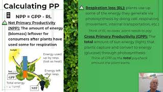 1 8 Primary Productivity