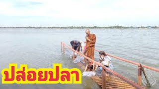 ปล่อยปลาณ สวนนก จังหวัดบุรีรัมย์                 13 ตุลาคม 2565#พุธ เรืองไพศาล