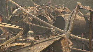 Vineyards hit hard by raging California wildfires