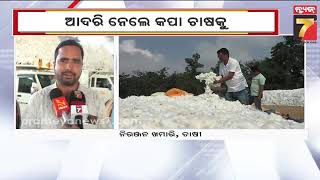 Cotton Farmers in Crisis: Mandis Closed in Subarnapur | ମଣ୍ଡି ଖୋଲୁନଥିବାରୁ ହତାଶ ସୁବର୍ଣ୍ଣପୁର କପା ଚାଷୀ