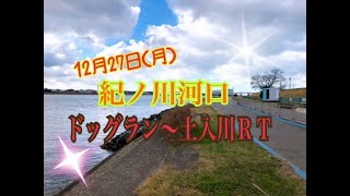 12月27日(月)和歌山釣果【紀ノ川河口ドッグラン～土入川合流】リアルタイム　フィッシングマックス和歌山インター店