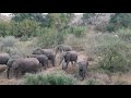 Makalali Private Game Lodge. Camp1.
