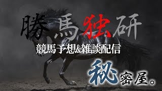 【競馬予想】 2019 函館記念 GⅢ【勝馬独立総合研究所19.7.13】