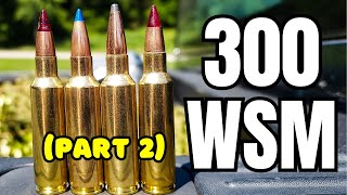 300 WSM Ammo Test [Part 2]
