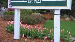 Landscaping the Entrance to a Business