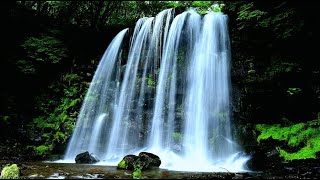 夏の唐沢の滝・4K