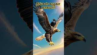 1 நிமிட கதை | 1 Minute story | நீங்கள் கழுகா காகமா? #motivation