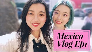 Mexico Travel Vlog | Ep 1 Mexico City | 墨西哥城游记