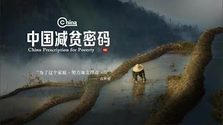 中国减贫密码 | 百年哈尼古村的旅游脱贫路