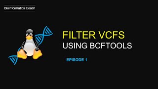 filtering vcfs based on quality  |  bcftools filter episode1