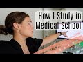 How I Study in Medical School