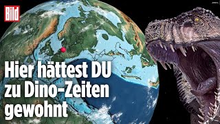 Zeitreise durch die Geschichte: Diese Dinosaurier lebten in Deutschland