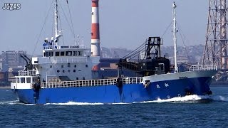 KAZU MARU 和丸 Sand carrier ガット船 関門海峡 2015-AUG