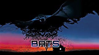 New Hollywood Bats Full Horror Movie In Hindi Dubbed 2019