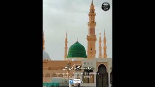 Aye Khatme Rasool Makki Madani || By Sibtain Haider || #short #yarasoolallahﷺ #islamicvideos #status