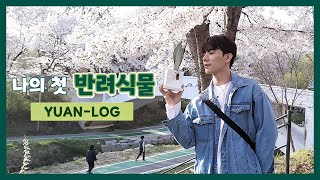 YUANLOG l 식목일 맞이 첫 반려식물 구입 VLOG l 양재꽃시장, 양재화훼단지, 양재시민의숲, 꽃놀이