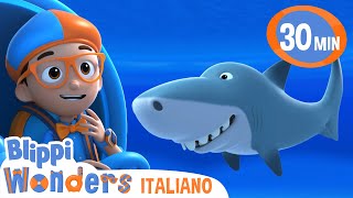 Denti di Squalo  | Blippi Wonders in Italiano | Video educativi per bambini