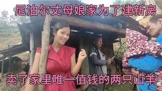 尼泊尔丈母娘家为了建新房，卖了家里唯一值钱的两只山羊