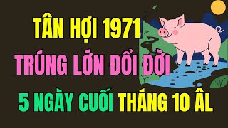 Tuổi Tân Hợi 1971.Tử Vi 5 Ngày Cuối Tháng 10 Âm Lịch, Trời Ban lộc, Trúng lớn Phát tài , Đổi đời