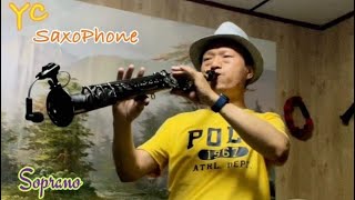 李小飛 誰人陪伴我 降B調高音薩克斯風 --Cover by Soprano Saxophone