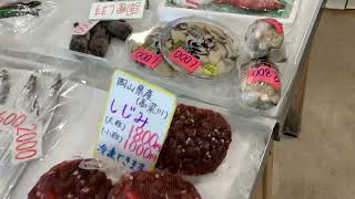 道の駅笠岡ベイファーム鮮魚コーナー2／20