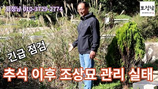 [묘정남4]긴급 점검, 추석 이후 조상묘 관리 실태