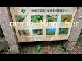 explore okinawa japan famous hiji falls hike