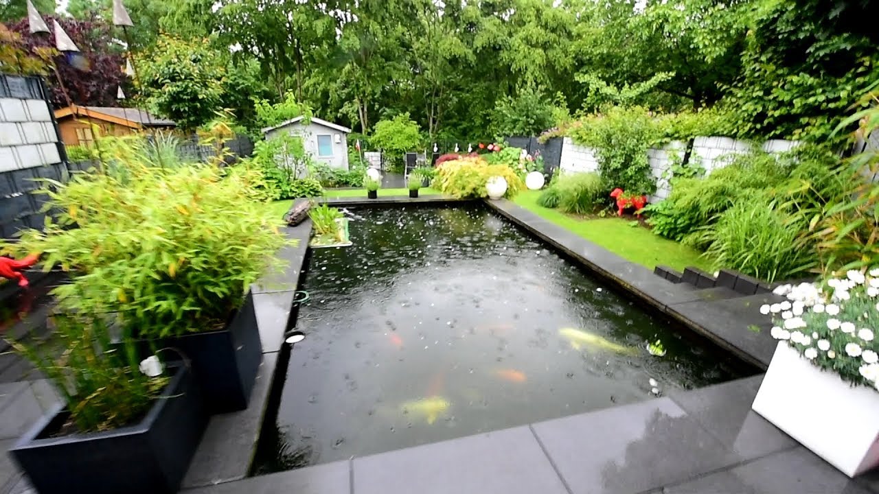 Modern Koi Blog #3259 - Bastians Formaler 20.000 Liter Teich Mit ...