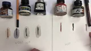 Line and Wash Part 1:  Types of Ink, Sue Bradley Art