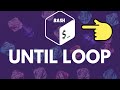 Bash until Loop