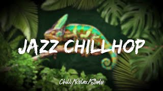 Chill Lofi JazzChillhop | Relax 🦎 Chill 📙 Study