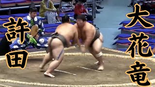 許田（二子山部屋）VS大花竜（わかりにくい方向け解説あり） 令和6年7月場4日目#sumo #相撲 #二子山部屋