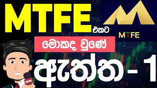 MTFE එකට මොකද වුණේ, සරලවම ඇත්ත දැනගන්න - 1 #mtfe #mtfewithdrawal #scam #mtfenews