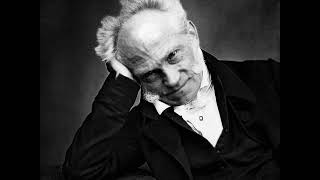 Schopenhauer On the Vanity & Suffering of Life