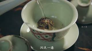 单独泡陈皮，单独泡老白茶，茶汤融合在一起会是什么口感呢# 陈皮 # 老白茶# 茶叶冲泡#茶#茶叶#茶文化#茶知识 #以茶會友#茶知识了解一下#普洱茶 加wechat：zcj049