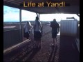 yandi life